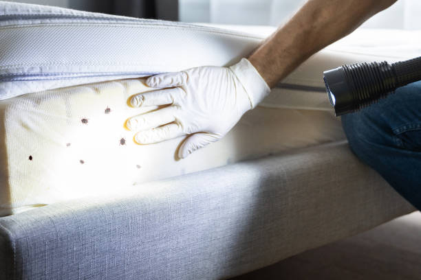 Best Bed Bug Extermination  in Heritage Hills, NY
