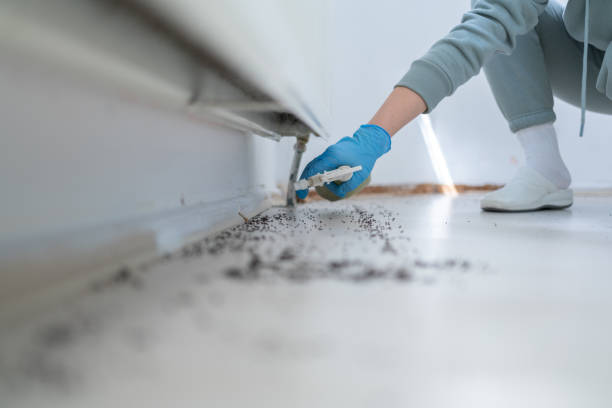 Pest Control Cost in Heritage Hills, NY