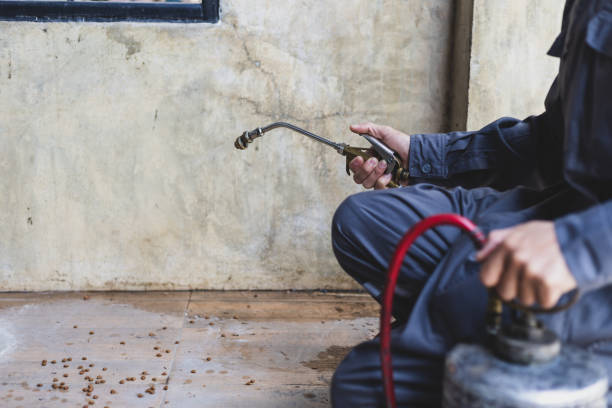Best Exterminator Services  in Heritage Hills, NY
